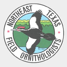 Birding in East Texas - NETFO