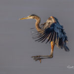 East Texas Photography Workshops