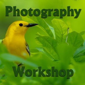 Photography Workshop - Various Topics