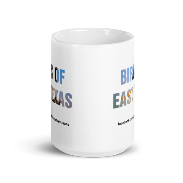 white glossy mug 15oz front view 61bf20d18769d