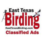 Coming Soon! Classified Ads!