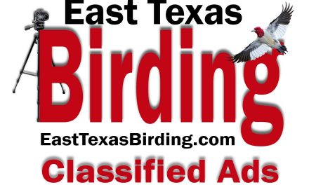 Coming Soon! Classified Ads!