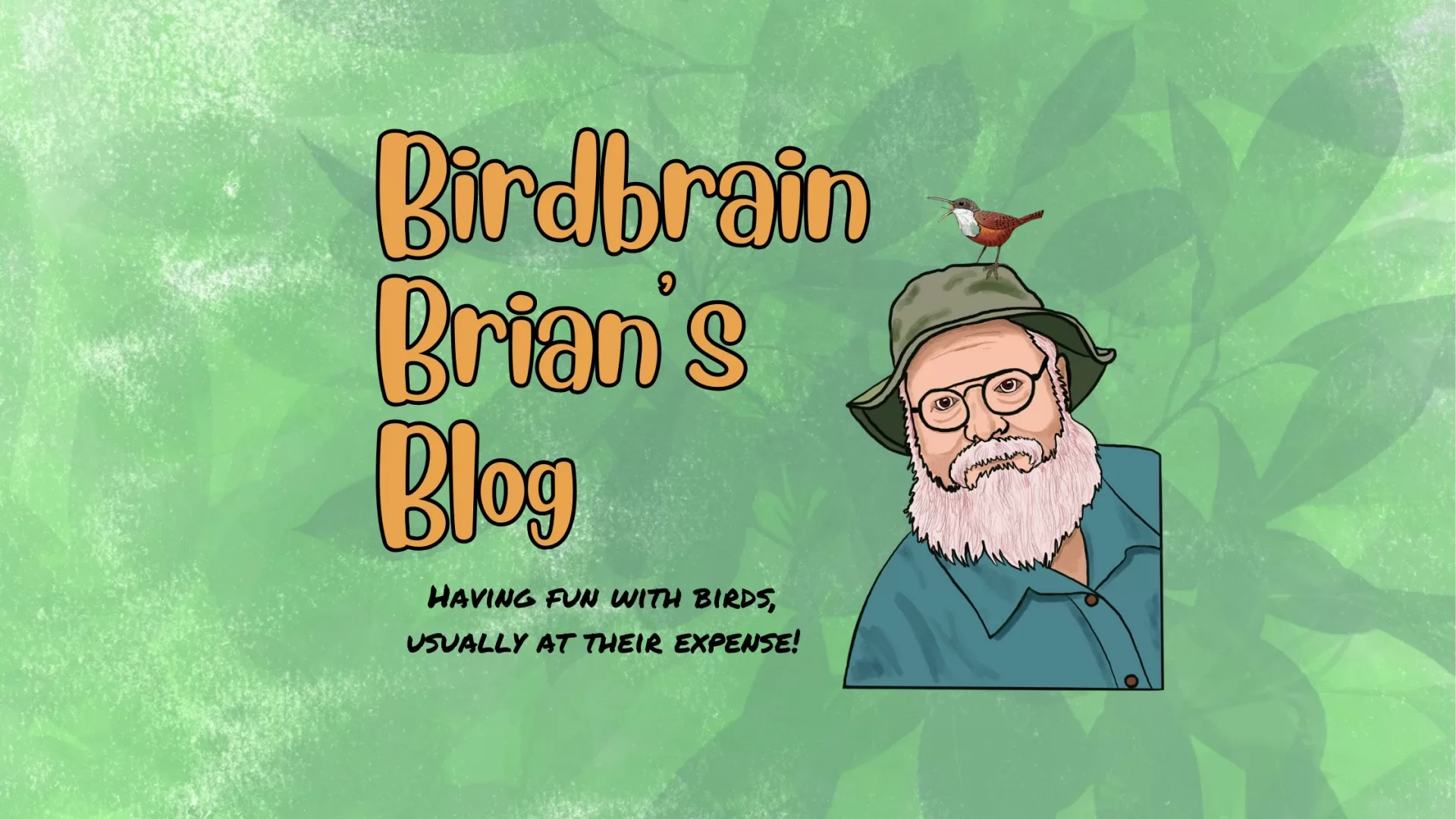 Birdbrain Brian's Blog; Brian Sanders