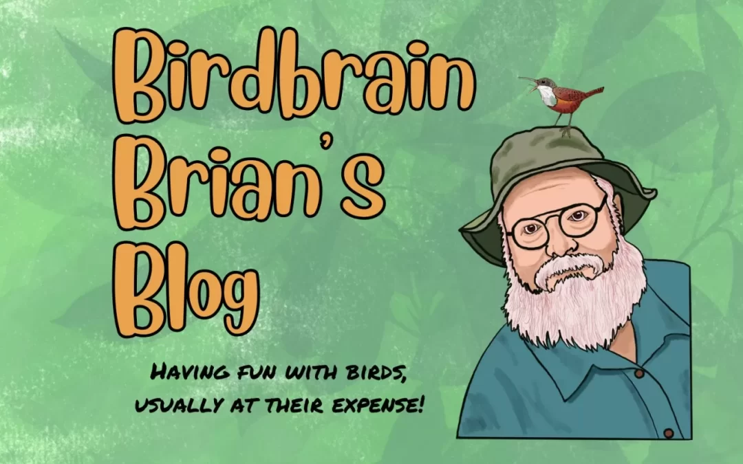 Birdbrain Brian’s Blog