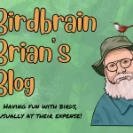 Birdbrain Brian’s Blog