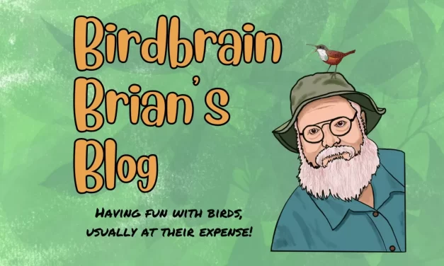 Welcome to Birdbrain Brian’s Blog