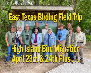 High Island Field Trip - East Texas Birdin