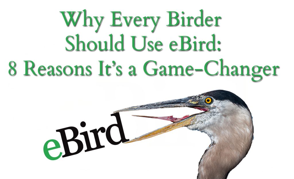 8 Reasons Why Birders Should Use eBird