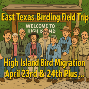 High Island Bird Migration Field Trip by Texas Birding