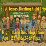 East Texas Birding Spring Migration High Island Field Trip!!! THIS WEEK!!