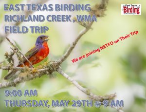 East Texas Birding Field Trip to Richland Creek WMA