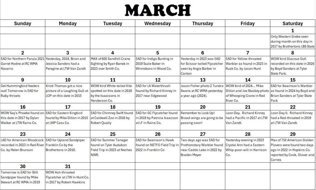 David Brotherton's Birding Calendar on East Texas Birding & Texas Birder