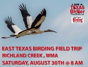 Texas Birder, Easting Texas Birding Field Trip to Richland Creek WMA
