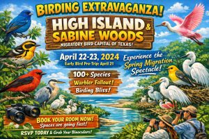 High Island & Sabine Birding Trip - Spring Migration - Texas Birder trips with Michael Mathews